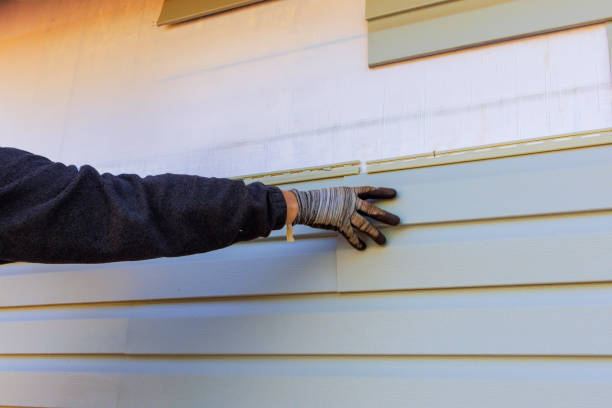 Best Steel Siding Installation  in Hammond, IN